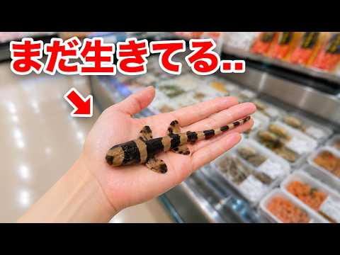 スーパーで買ったサメの赤ちゃんがヤバい..