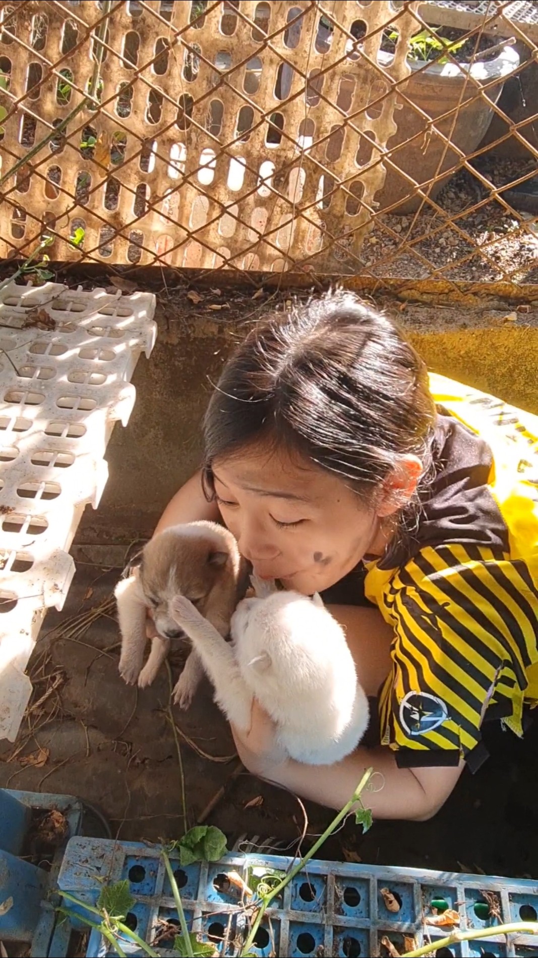 Kind Girl and So Mean Sister‼️ Don't Sell My Puppy❤️? | JJaiPan #Shorts #funnydog