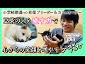 豆柴ブリーダーが語る「豆しBar」への想いとこれから
