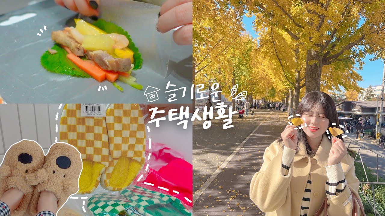 주택일상 vlog | 온통 노랑노랑했던 아산 가을 나들이🍁💛 월남쌈 만들기, 혼카페, 아빠한테 운전연수 받기, 평택 메인스트리트