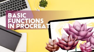Learning basic functions in Procreate / Procreate tutorial