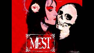 Mest - I Melt With You (8 bit)