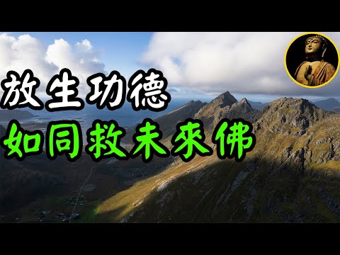 【佛法無邊】放生功德，如同救一佛子，更等於救一未來佛