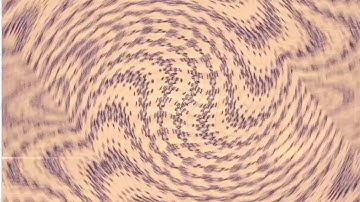 Intro CE For CoolWolfCutey