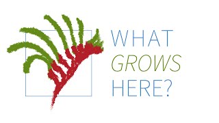 What Grows Here Unleashed Project Video screenshot 4