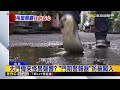 獨家》單身租屋自保！ 入住「換門鎖」 加裝門阻警報@newsebc