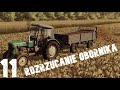 Powrót na gospodarstwo #11 - Wywożenie obornika URSUS 4011 z rozrzutnikiem dwuosiowym