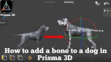 Complete Tutorial On How To Add Bones To A Dog #editingexpress3d #prisma3dtutorial