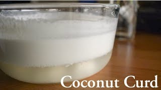 Coconut Milk curd/ Healthy Vegan Curd