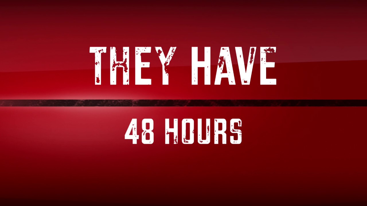 Summer of the Cicadas