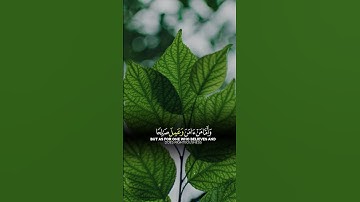 تلاوة خاشعة بصوت القارئ أحمد النفيس #قرآن #راحة_نفسية #اكسبلور #لايك #ارح_قلبك #احمد_النفيس #دويتو