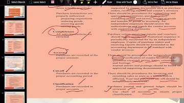 AUD339 AUDIT OF PURCHASE AND PAYMENT CYCLE
