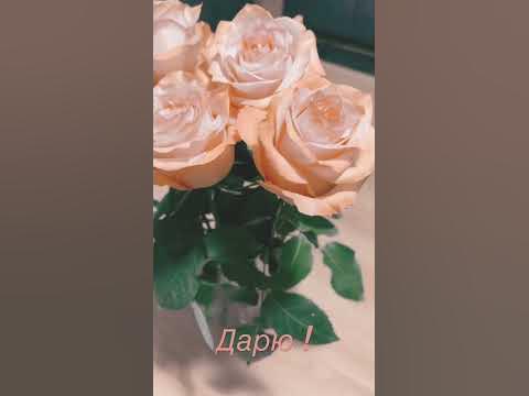 А я несу тебе цветы 🌹 а я дарю тебе цветы - YouTube