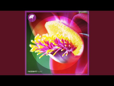 Good Time (Extended Mix)
