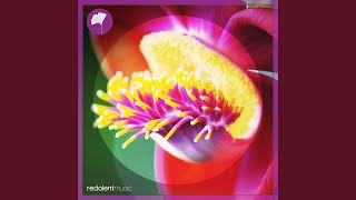 Good Time (Extended Mix)