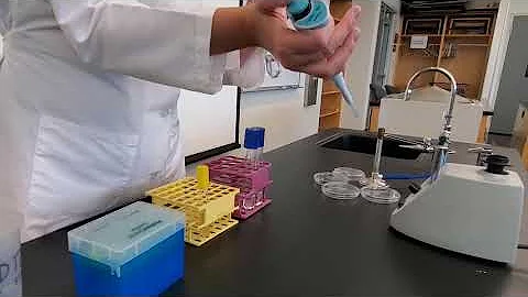 Lab 6-1: Standard Plate Count Technique - DayDayNews