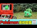 ポケモンで覚える英単語1025【寝落ち用】