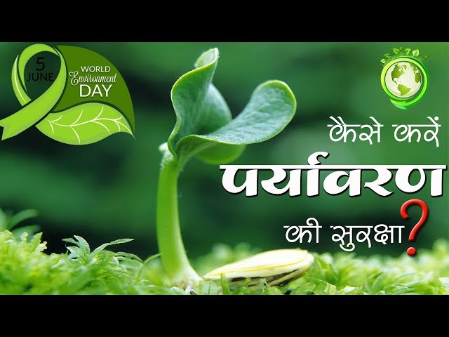 World Environment Day । कैसे करें पर्यावरण की सुरक्षा । Sant Shri AsharamJi Bapu