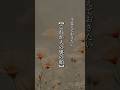【これが人の裏の顔】 #shorts #名言 #言霊 #引き寄せ #人生