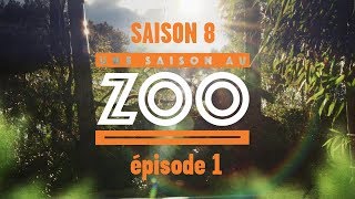 Une Saison au Zoo - S8 Ep01