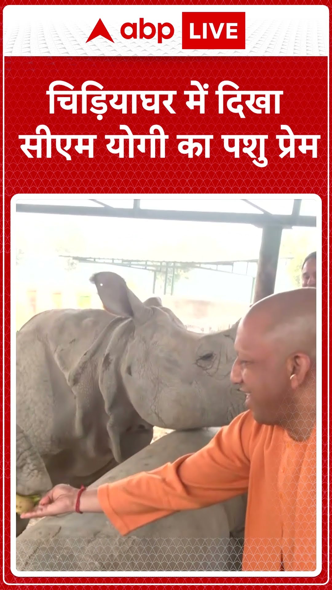 चिड़ियाघर में दिखा सीएम योगी का पशु प्रेम | ABP News Shorts | Breaking | #trending