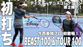 Disney Tennis Collection (ディズニー テニスコレクション