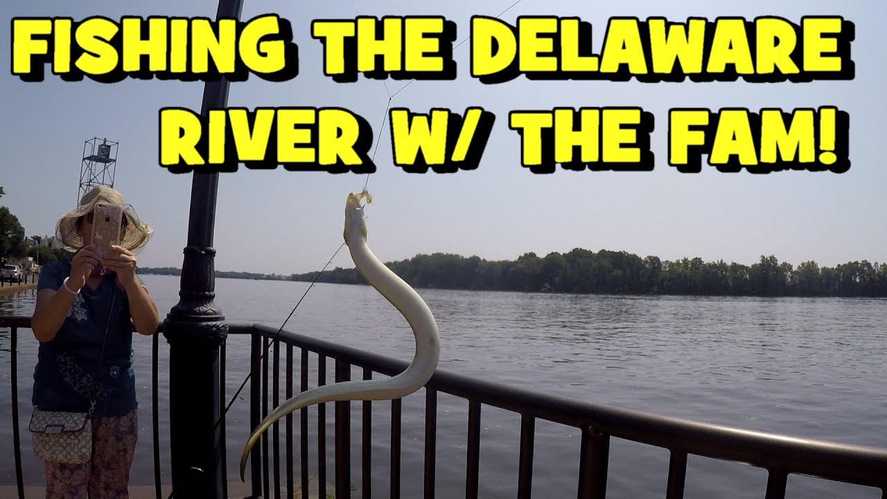 Delaware River High Tide Chart