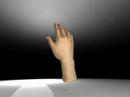3ds max - Hand modeling test