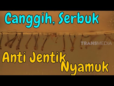 PART 1: Bubuk insektisida palsu isi pasir Themophos. 