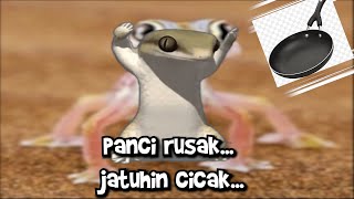 Panci Rusak Jatuhin Cicak Original Song...(Lyrics Video)