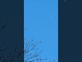 Chinese surveillance balloon spotted near Charlotte, NC