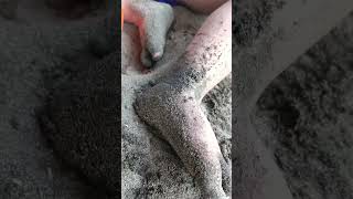 Playing Sand