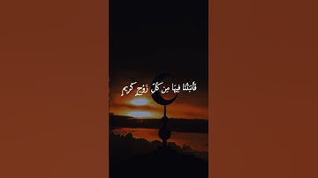 سورة لقمان - د/عادل أحمد زكي