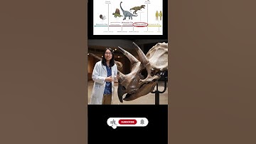 Triceratops Facts You Didn’t Know 🧠🦖