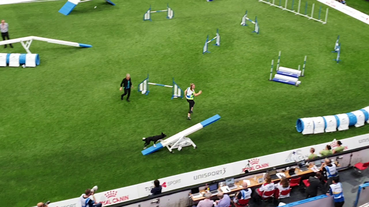 PAN Maruša Podjed Large Agility AWC 2019