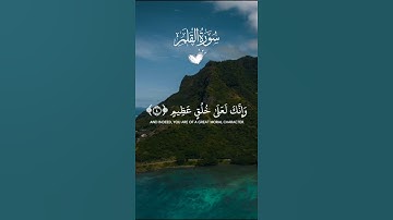 ماتيسر من سورة القلم بصوتٍ رقيقٍ عذب ♥️🌿