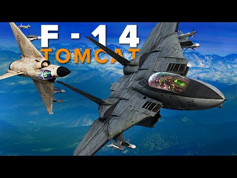F-14 Tomcat VS Mirage-2000 Dogfight | DCS