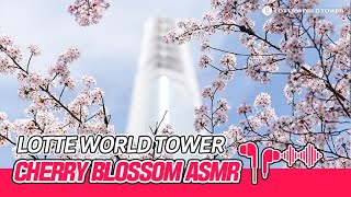 LOTTE WORLD TOWER Cherry Blossom ?ASMR?