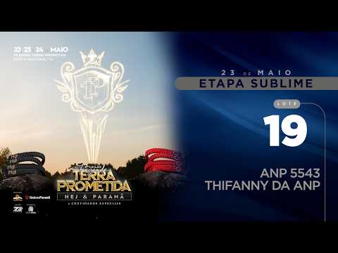 LOTE 19   ANP 5543 COM MÃE