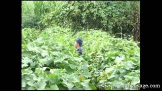 Documentaire de voyage sur le Nord du Vietnam P2