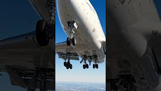 Flight  Firante firante  travel