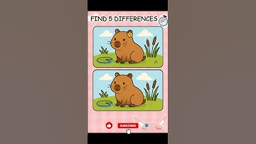 #short Spot the 5 Differences Puzzle | Find 5 Points #31