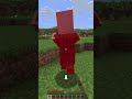 Interesting Facts about Minecraft only in Java Edition