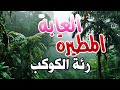 وثائقي الغابة المطيرة كنوز رئة الكوكب الخضراء 