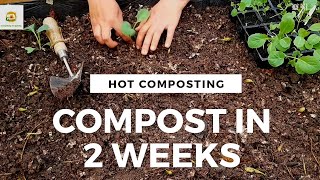 Make compost fast at home ~ compost in just 2 weeks~ Rejuvenate old soil before planting a new crop