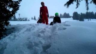 zipflbob freestyle powder