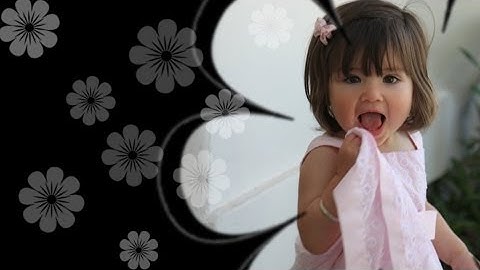 Proshow Producer 5:Superpack 25 slide styles & 25 transitions from www.outsidetheboxstyles.com