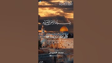 ولما رءا المؤمنين الاحزاب#سورة_الاحزاب #محمد_اللحيدان #القران الكريم دواء لكل هموم الدنيا