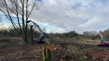 Big Willow Tree Removal | Takeuchi with OMEF Tree Shear