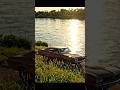 Bruce Springsteen - The River (Cover)